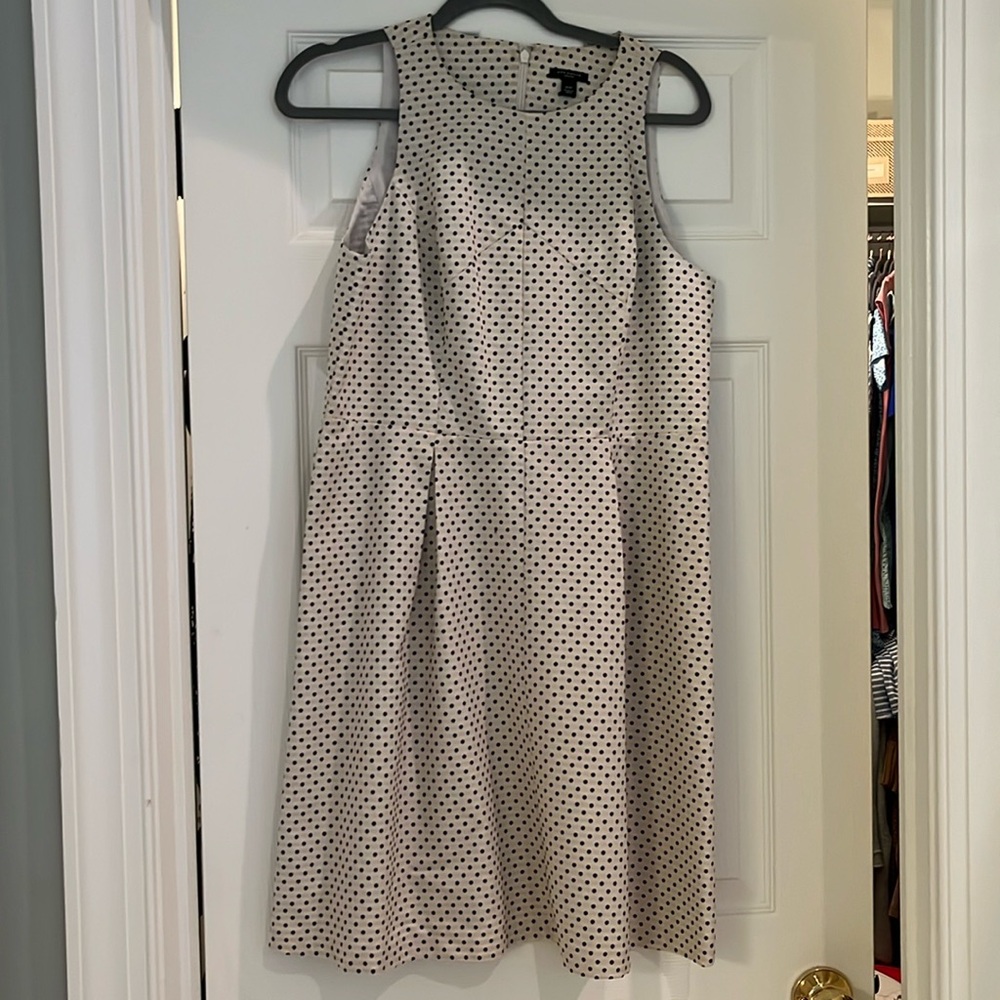 Ann Taylor Dress